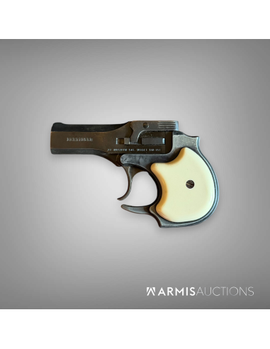 Derringer Hi Standard SM 101 .22 MAG avec holster