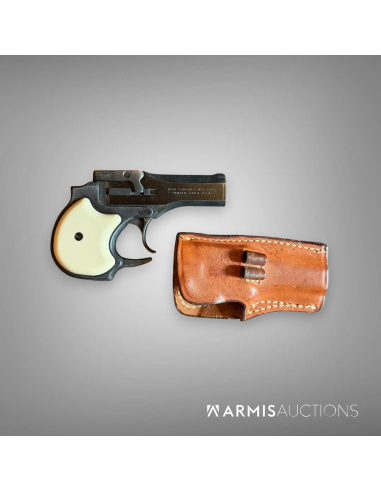 Derringer Hi Standard SM 101 .22 MAG avec holster