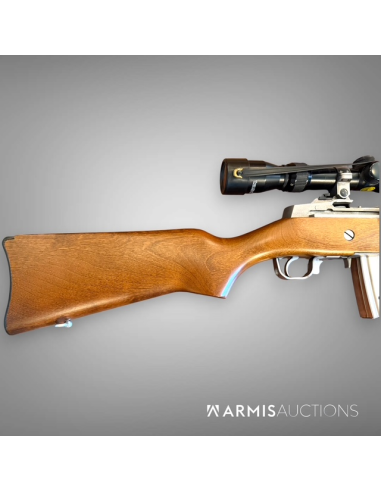 Fusil d'assaut semi-automatique Ruger Mini 14 .222 Rem avec lunette