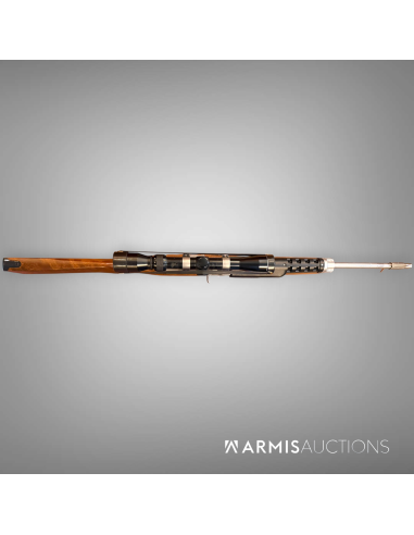 Fusil d'assaut semi-automatique Ruger Mini 14 .222 Rem avec lunette