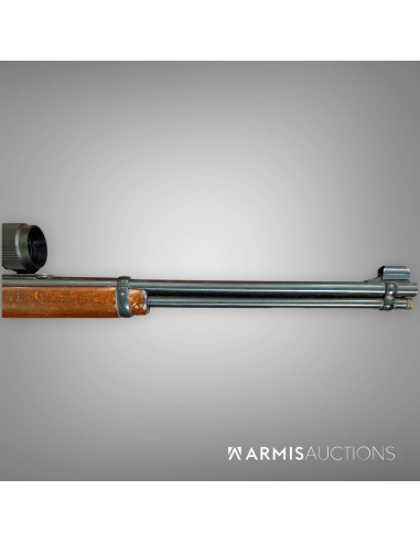 Carabine à levier de sous-garde Erma EG 73 avec lunette