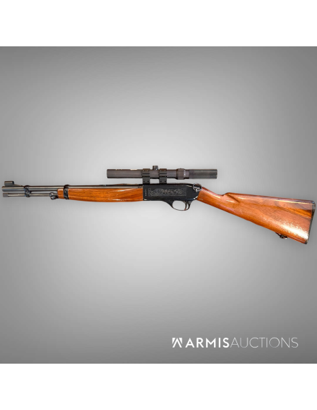 Carabine semi-auto Colt Stagecoach