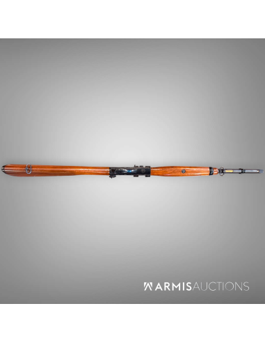 Carabine semi-auto Colt Stagecoach