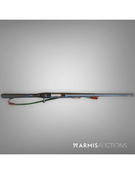 Fusil de chasse à verrou Savage 210