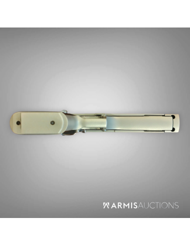 Pistolet semi-automatique Magnum Research IMI Desert Eagle .50 AE Chrome Finish